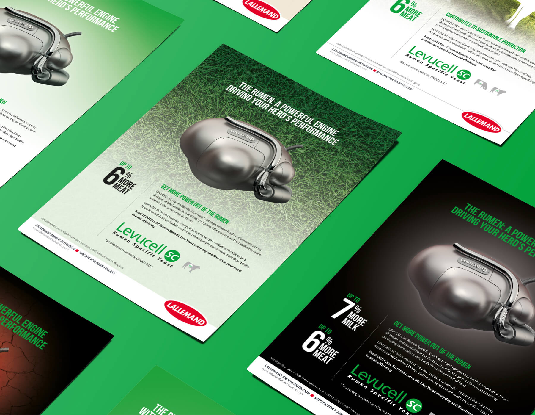 Global Advertising Campaign Visuals | Lallemand – Levucell SC Case Study